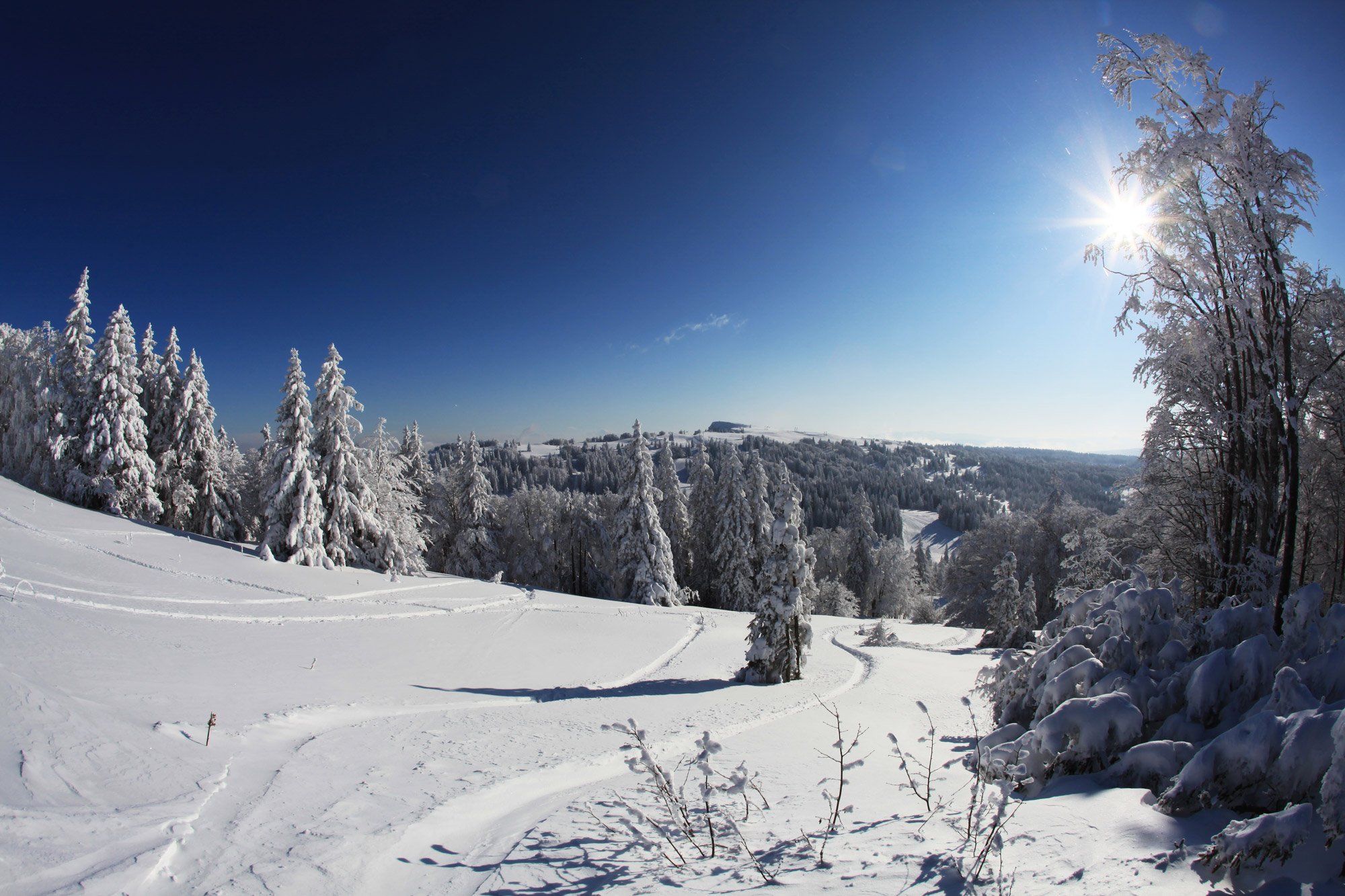 Ski de randonnée autour de l'hôtel restaurant Le Tillau, Jura, Haut Doubs