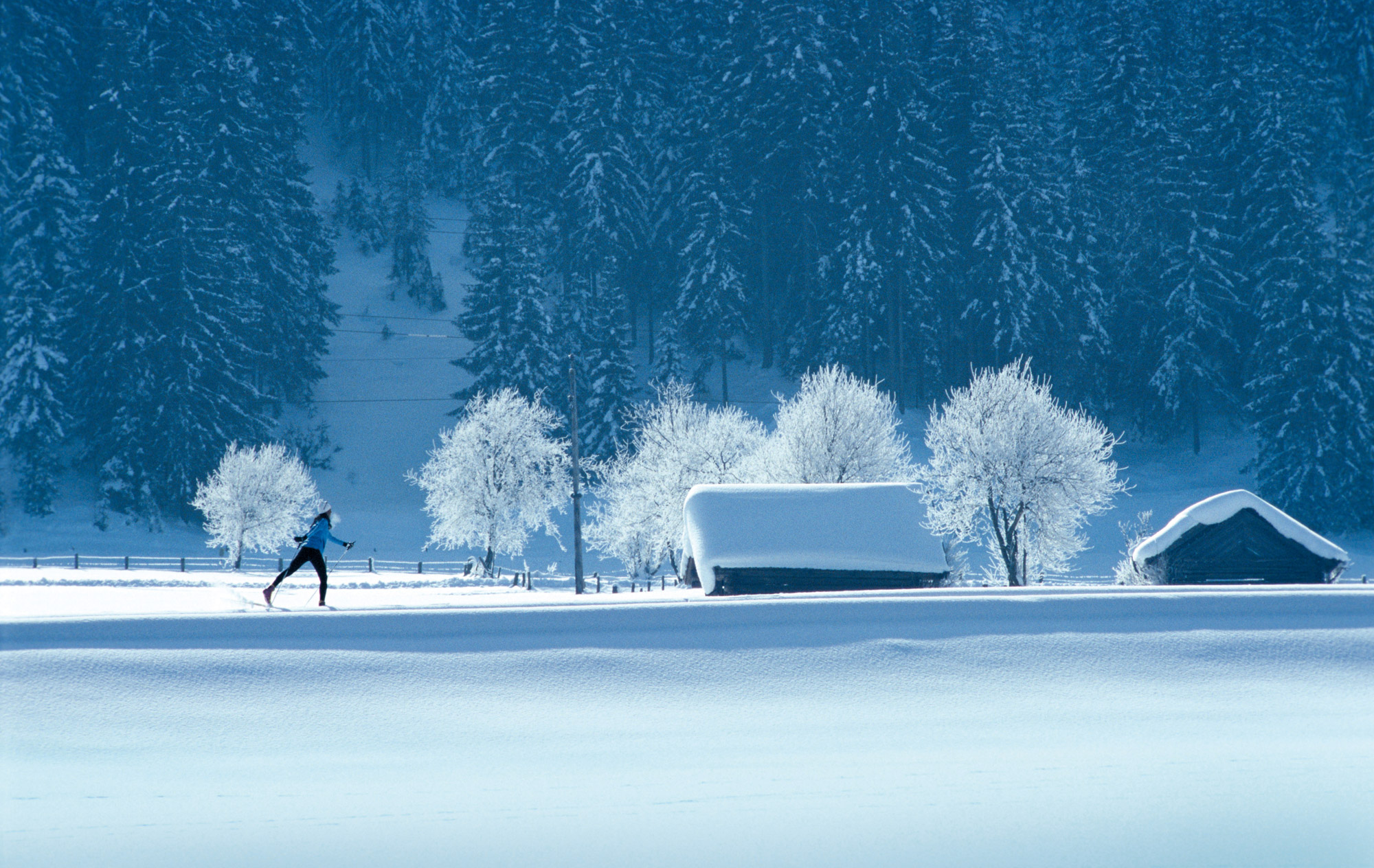 Ski de fond autour de l'hôtel restaurant Le Tillau, Pontarlier, Vallorbe